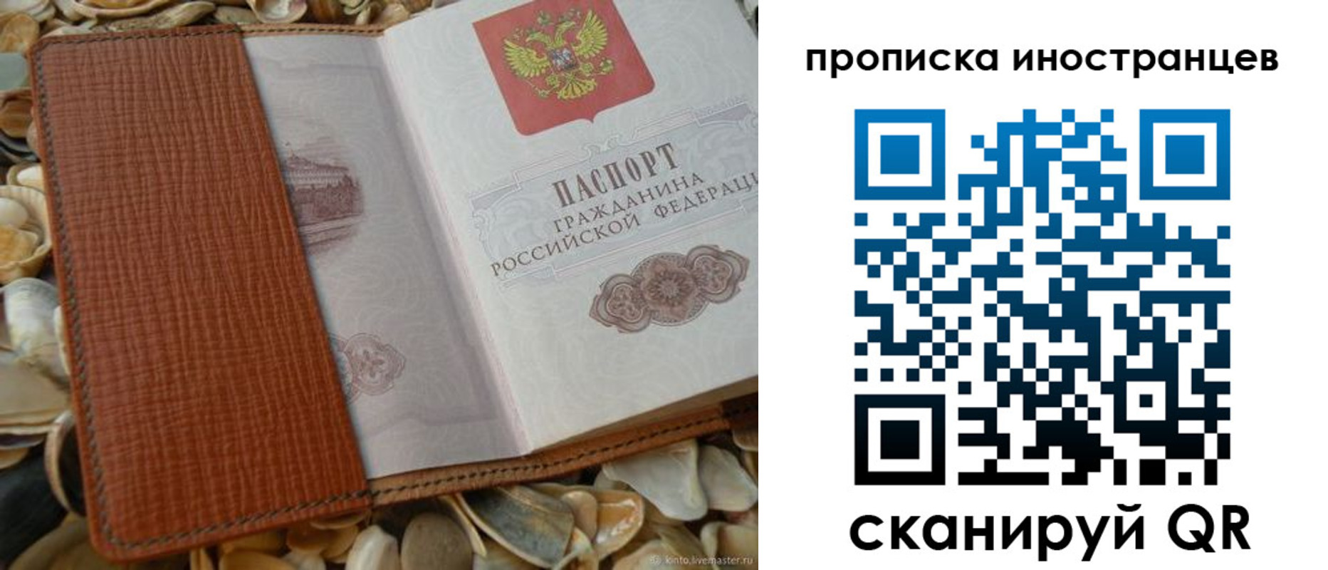 прописка гарантия в Саранске